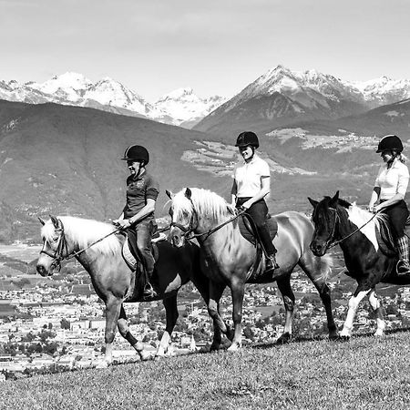 Vila Widmannhof - Urlaub Auf Dem Biobauernhof Brixen Exteriér fotografie
