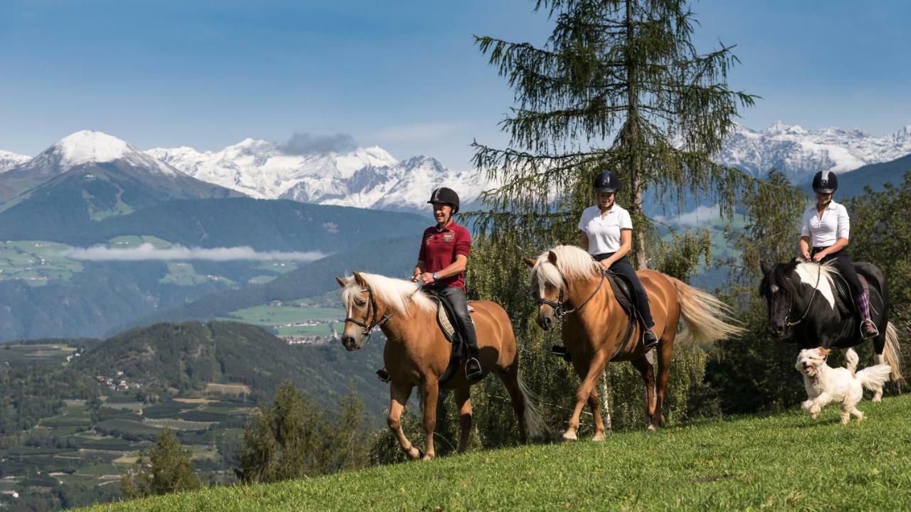 Vila Widmannhof - Urlaub Auf Dem Biobauernhof Brixen Exteriér fotografie