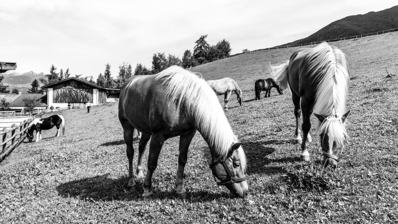Vila Widmannhof - Urlaub Auf Dem Biobauernhof Brixen Exteriér fotografie