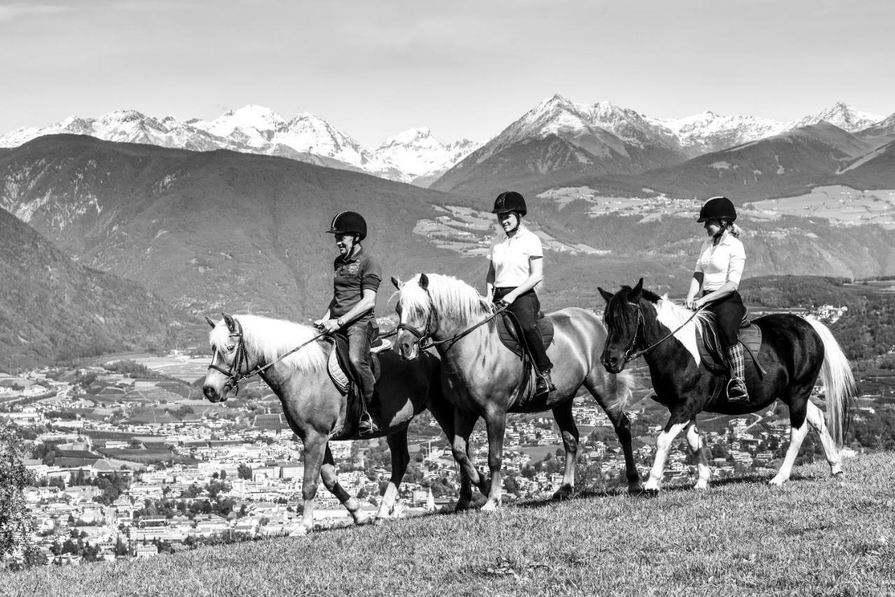 Vila Widmannhof - Urlaub Auf Dem Biobauernhof Brixen Exteriér fotografie