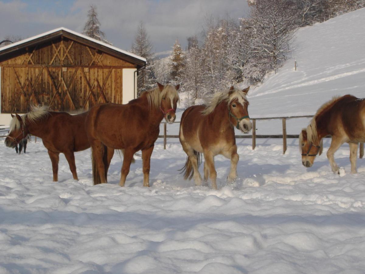 Vila Widmannhof - Urlaub Auf Dem Biobauernhof Brixen Exteriér fotografie